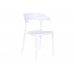 Cadeira PP